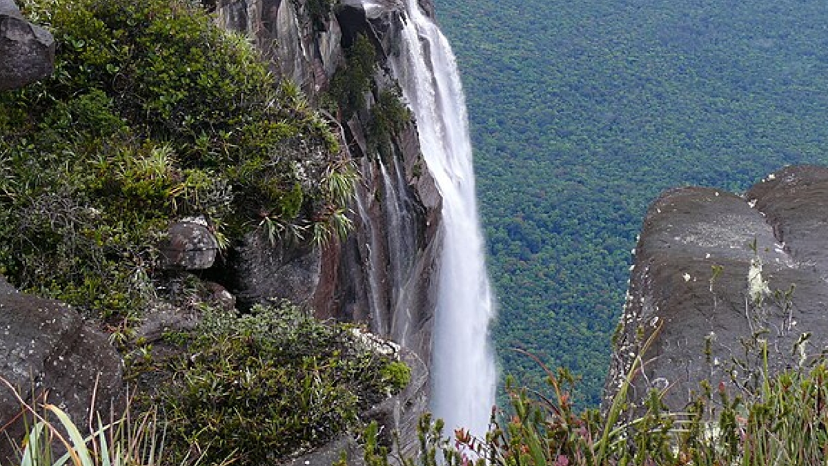 Embora seja um destino dos sonhos, visitar o Salto Ángel é um verdadeiro teste de resistência. Não existem estradas que levem ao local - (Rafael Estrella/Wikimedia Commons)