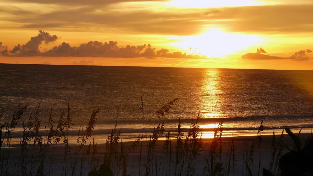 Em Anna Maria Island, o entardecer não é apenas um horário, mas um evento coletivo: moradores e turistas se reúnem na areia para observar o céu pintar-se de tons alaranjados e rosados sobre o Golfo - (Nathan Andress/Unsplash)