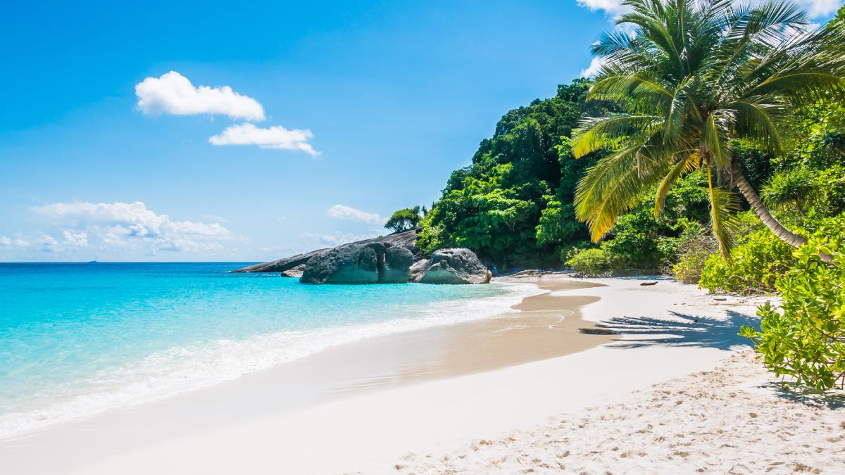 Para proteger sua privacidade, o cantor adotou medidas drásticas. Instalou placas de sinalização, espalhou móveis de praia pela orla e contratou seguranças particulares para monitorar e afastar quem tenta permanecer no local. Foto: Freepik