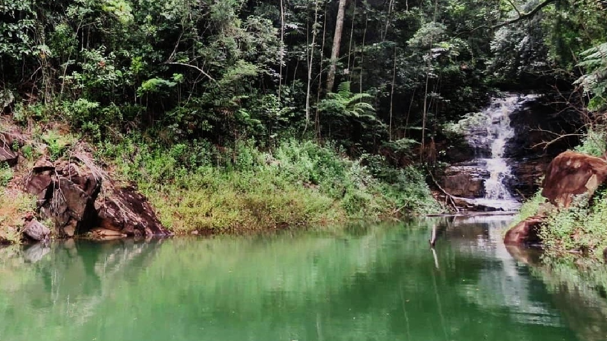 A cachoeira do Ribeirão das Palmeiras é um atrativo que envolve o Turismo Ecológico e o de Aventura - (Divulgação/GovSP)