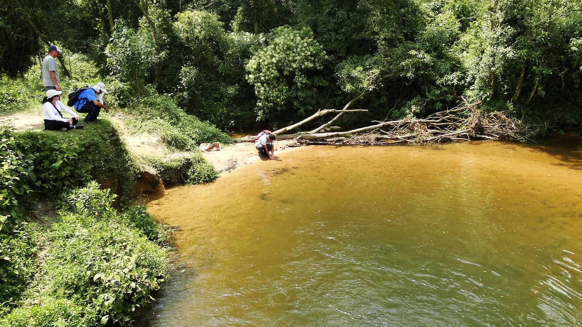 Durante o trajeto, estão diversas paisagens de tirar o fôlego da região da Serra do Mar, cruzando piscinas naturais, rios e córregos que trazem o sentimento de calmaria e repouso distante do agito da cidade - (Divulgação/Prefeitura de São Bernardo do Campo)