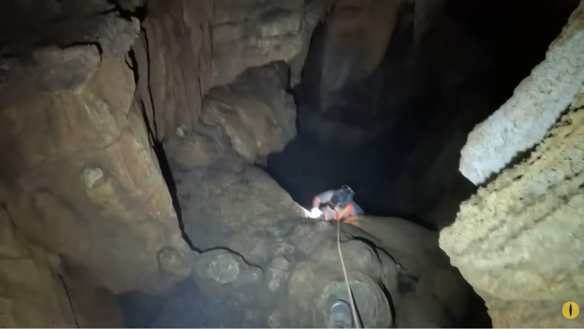 Mesmo em condições extremas, espécies adaptadas ao isolamento sobrevivem no interior da caverna