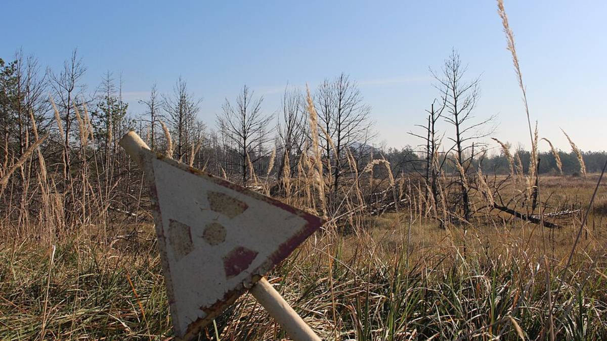 Placas de radiação traduzem de forma imediata o ambiente hostil em que algumas formas de vida conseguiram se adaptar (Foto: Wikimedia Commons/ArticCynda)