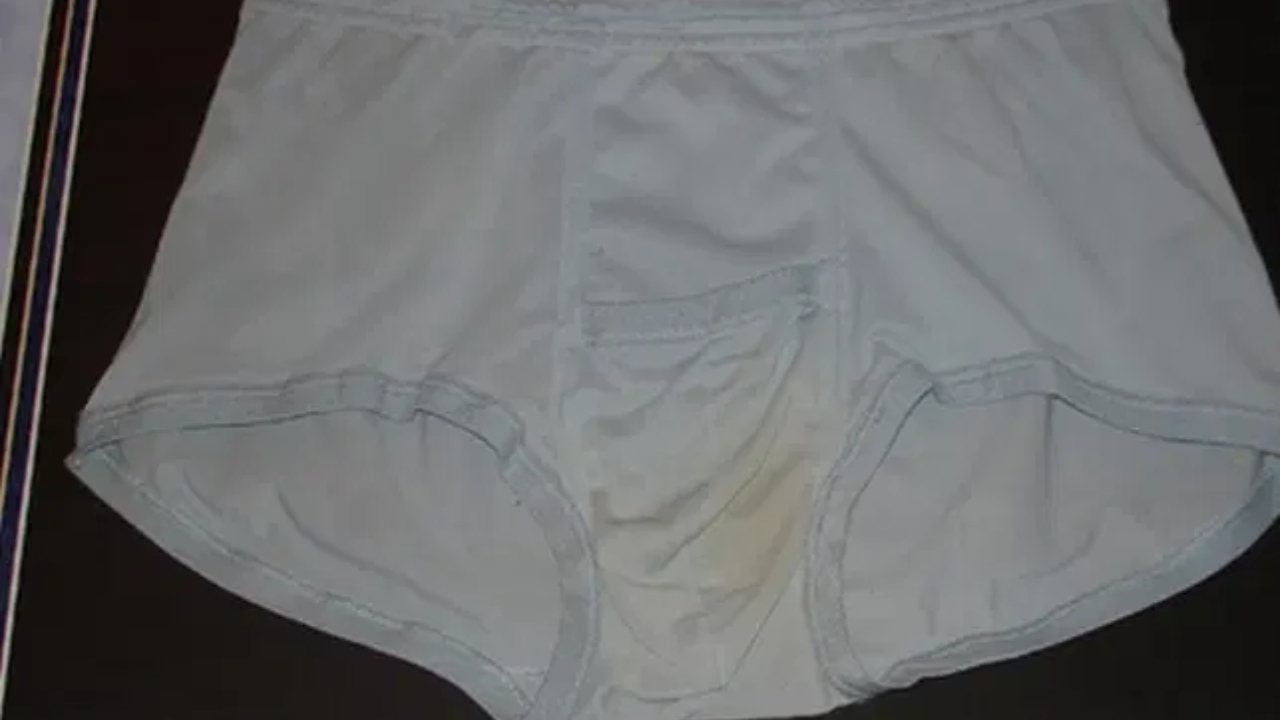Em 2012, uma cueca usada por Elvis Presley durante um show em 1977 foi colocada à venda. Foto: Divulgação/Omega Auctions