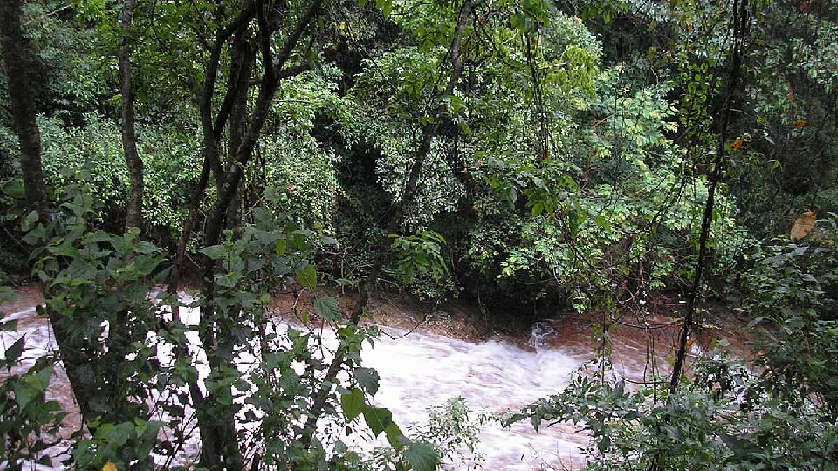 A Serra do Japi foi declarada Reserva da Biosfera pela Unesco em 1992 e segue como um dos maiores cartões-postais naturais de Jundiaí (Foto: Marcos Guerra / Wikimedia Commons)