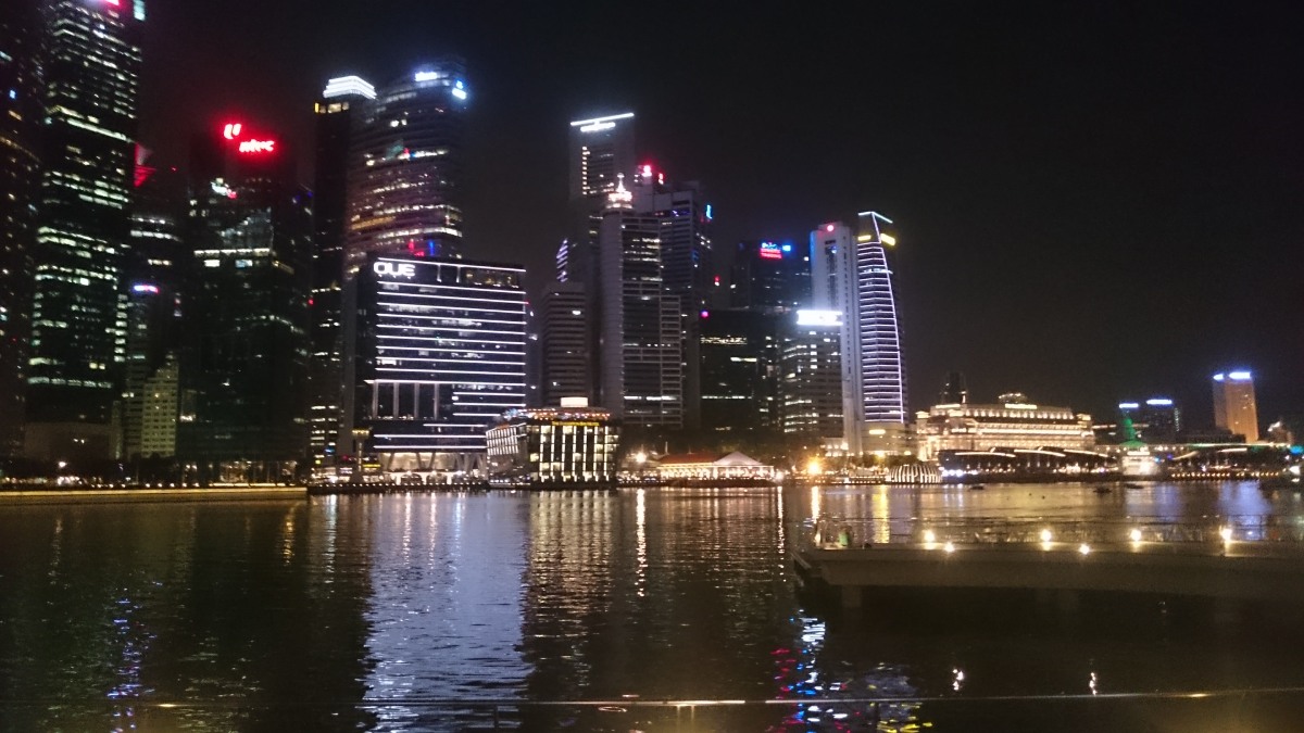 A história ficou conhecida fora de Singapura porque a condenação citada nas reportagens somou 33 meses de prisão, após um caso de roubo e acusações ligadas a drogas (Foto: Mokkie / Wikimedia Commons)
