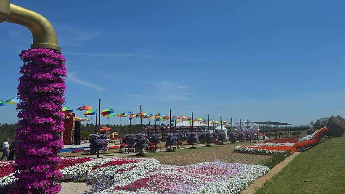 A instalação com flores saindo de uma torneira chama atenção pelo visual criativo e virou um daqueles cenários que rendem boas fotos na cidade (Foto: Ohana Oliveira dos Santos / Wikimedia Commons)
