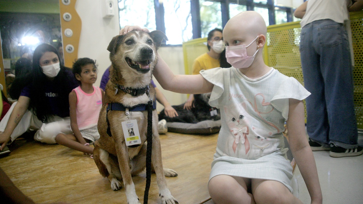 Isabela brinca com um dos cães levados pelo Instituto Caramelo/Thiago Neme/Gazeta de S.Paulo