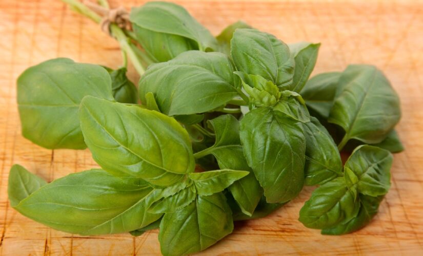 Manjericão (Ocimum basilicum): Algumas variedades são ricas em óleos essenciais com propriedades repelentes a insetos - (Jcstudio/Freeepik)