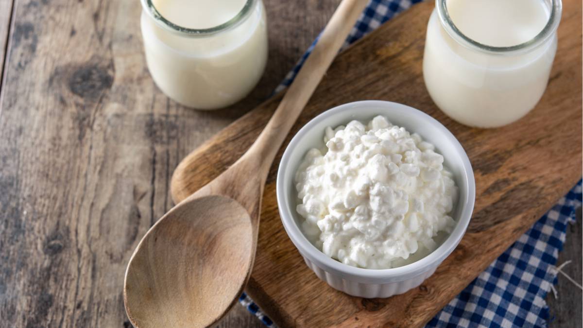 O conjunto de bactérias que vive no intestino e influencia diretamente a digestão e a imunidade (Fotos: Freepik)