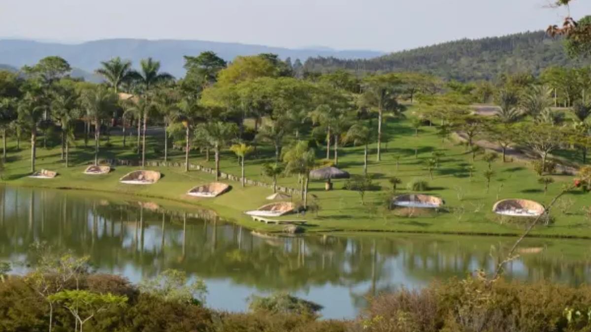 Um refúgio de silêncio e privacidade: o jardim foi planejado para oferecer uma experiência contínua de contato com a natureza, repleta de pontos de contemplação e trilhas em meio ao verde. Foto: Divulgação