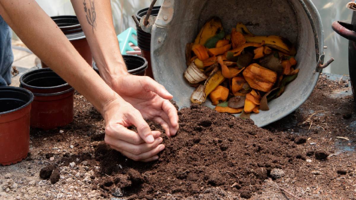 Além de reduzir o desperdício, o reaproveitamento também representa economia, já que substitui materiais que muitas pessoas costumam comprar para cuidar do jardim (Fotos: Freepik)