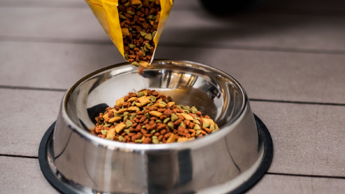 Por isso, é importante observar toda a dinâmica da alimentação, que inclui quantidade, frequência e o tipo de alimento oferecido (Fotos: Freepik)