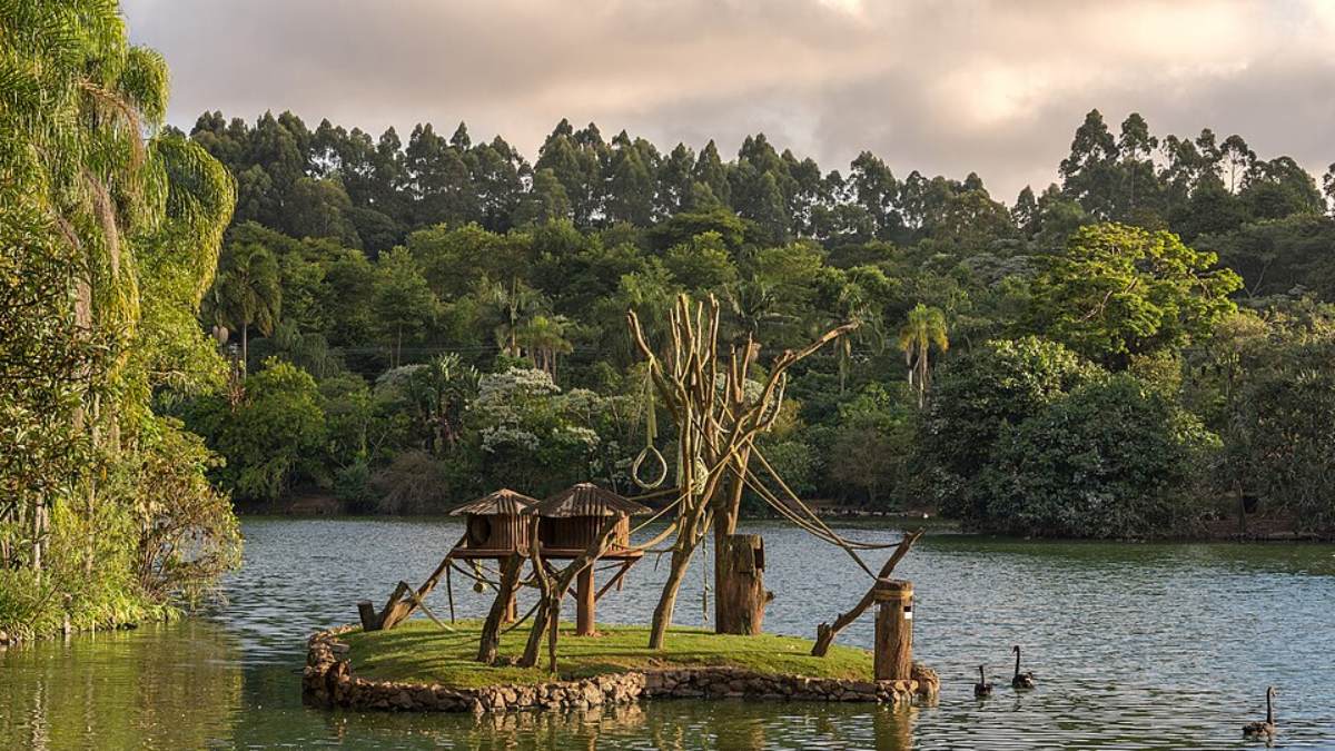 2. Zoológico de São Paulo (Foto: Wilfredor/Wikimedia Commons)