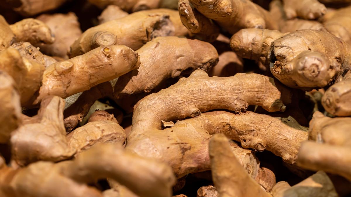 Esses compostos apresentam propriedades antioxidantes e anti-inflamatórias que podem ajudar o organismo a lidar melhor com processos inflamatórios (Fotos: Freepik)