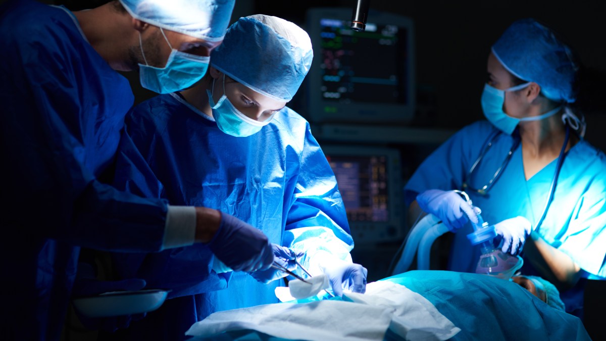 Fila do transplante pode estar com os dias contados graças a uma técnica que parecia ficção científica: o xenotransplante