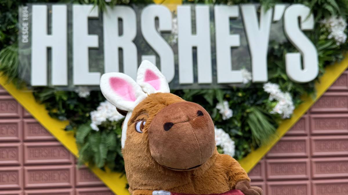 O espaço foi concebido com elementos que remetem às barras de chocolate da marca, com cenografia formada por "tijolos" inspirados nos tradicionais quadradinhos.