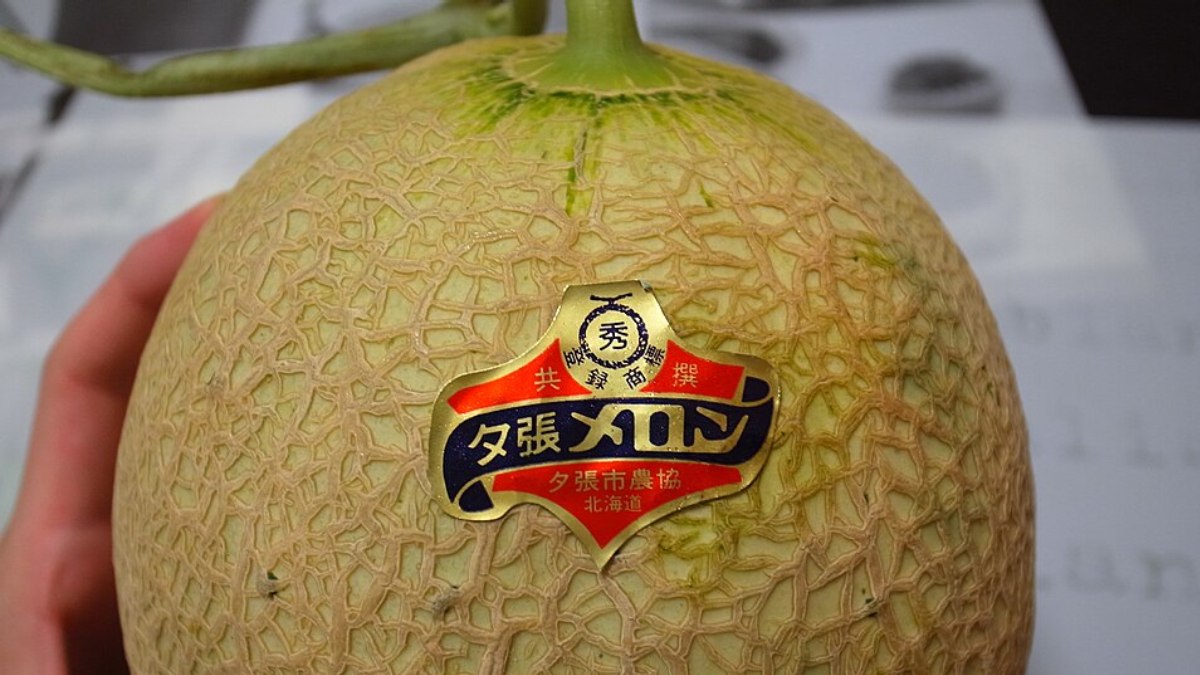 Esse fruto é tradicionalmente vendido como presente de luxo no mercado japonês, principalmente em datas comemorativas (Foto: kobakou/Wikimedia Commons)