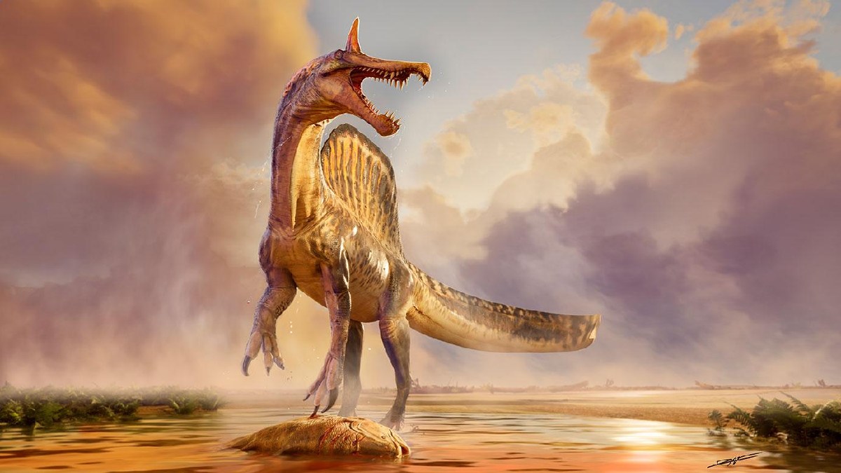 Pesquisa comprova que esses dinossauros viviam perto de rios e pescavam
