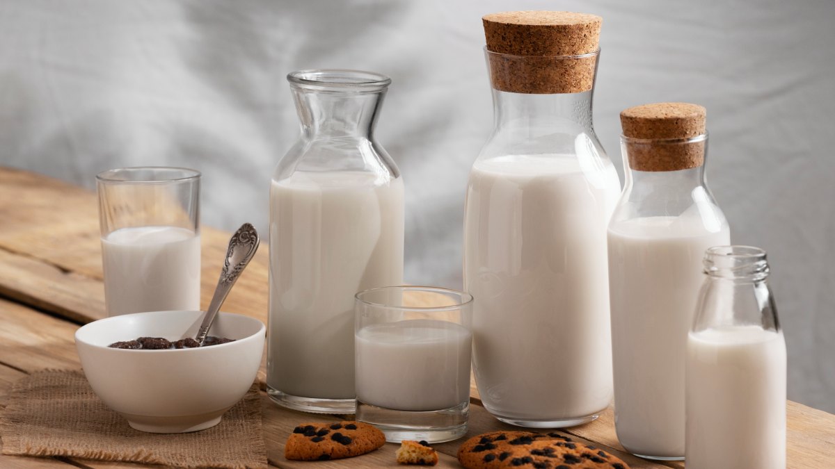 Embora todos sejam derivados do mesmo alimento, a quantidade de gordura varia de forma significativa (Fotos: Freepik)