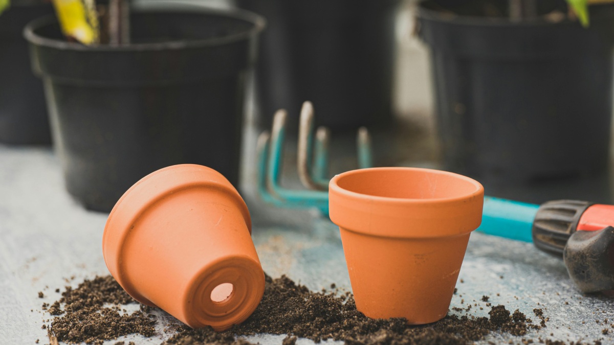 Quem cultiva plantas em vasos de barro ou terracota costuma notar o surgimento de manchas esbranquiçadas na superfície (Foto: Pexels)
