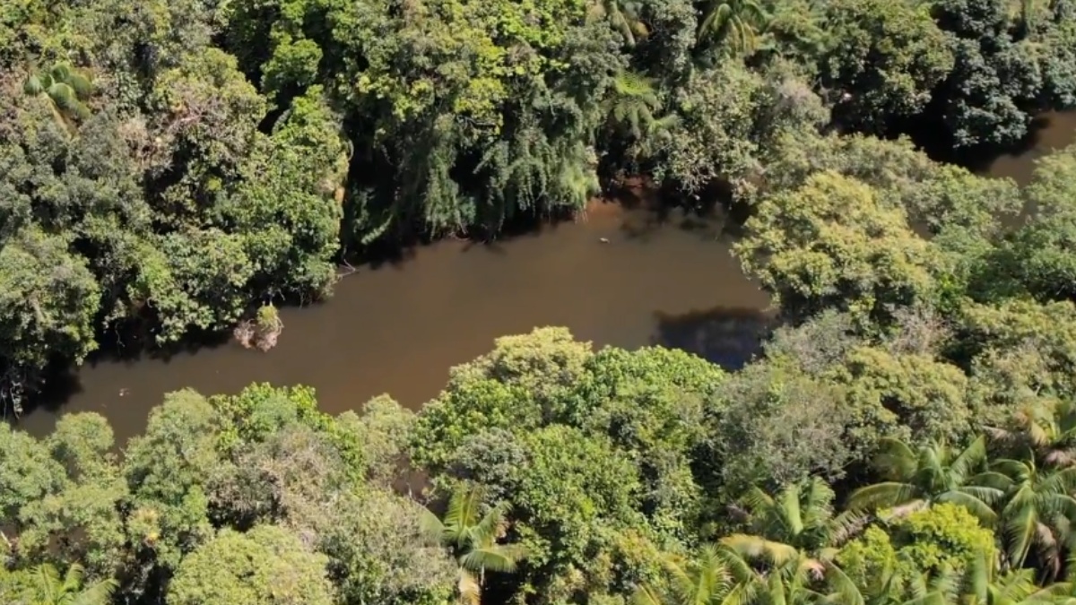São Luís do Paraitinga é também a porta de entrada para o Parque Estadual da Serra do Mar - Núcleo Santa Virgínia, em que a Mata Atlântica é preservada.