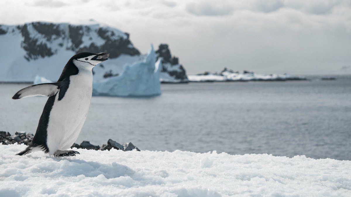 No entanto, cientistas alertam que o aquecimento global pode fazer muitos desses fragmentos afundarem no gelo, tornando um dos maiores arquivos naturais do Sistema Solar cada vez mais difícil de acessar (Fotos: Freepik)