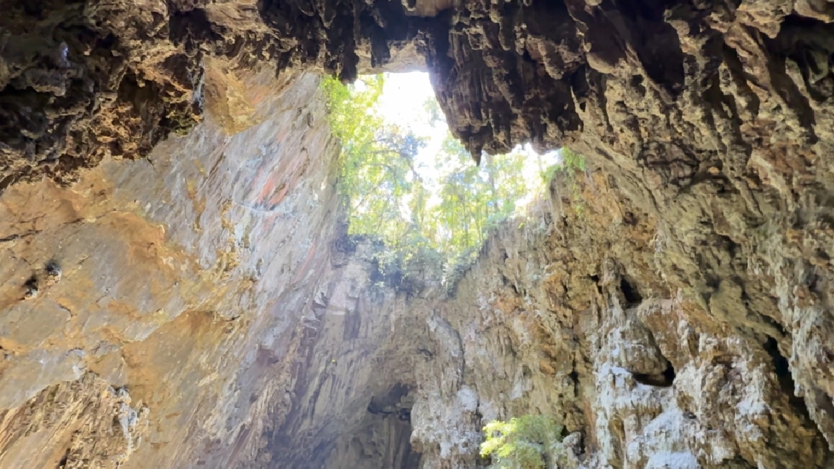 O parque é um paraíso para os amantes de adrenalina e contato direto com a natureza.