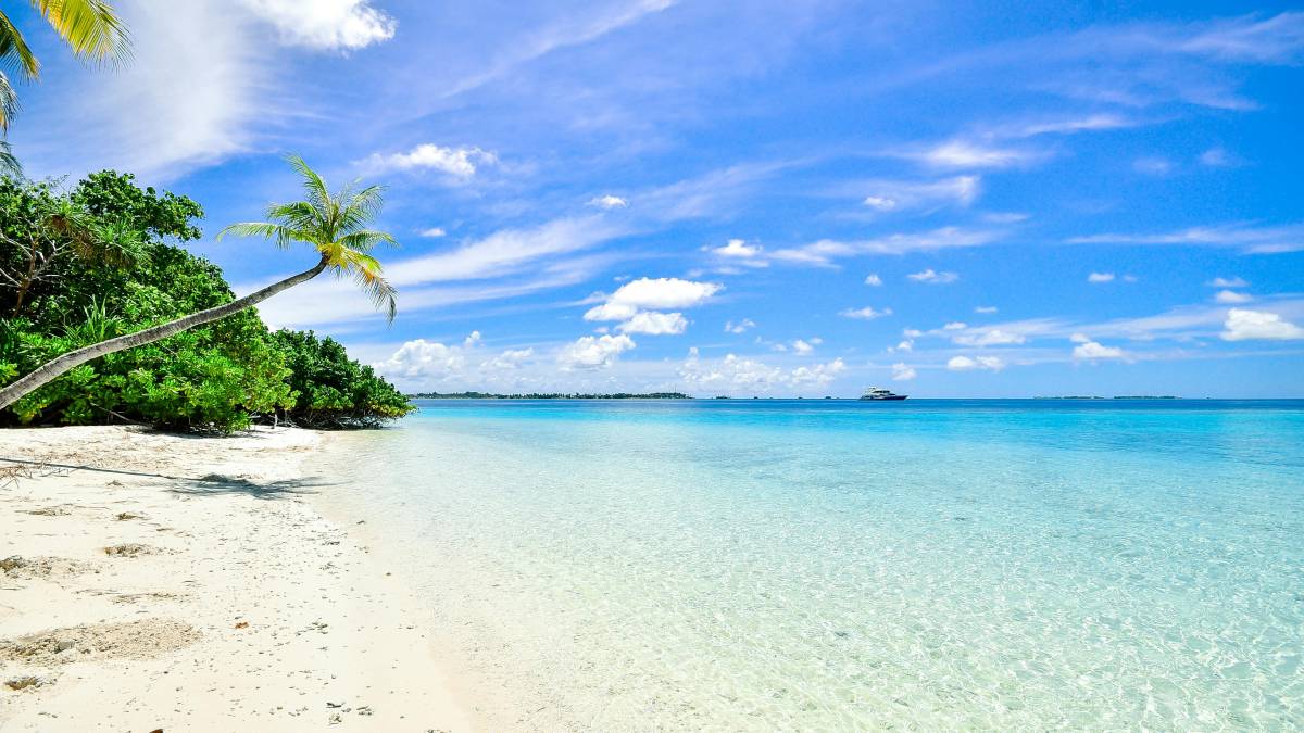 Praias do litoral paulista atraem turistas pela natureza e biodiversidade (Foto: Pexels)