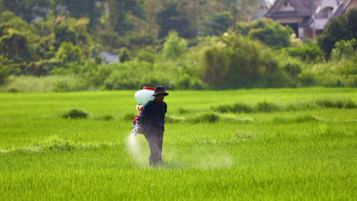 A exposição pode ocorrer por resíduos em alimentos e por contato próximo a áreas pulverizadas.