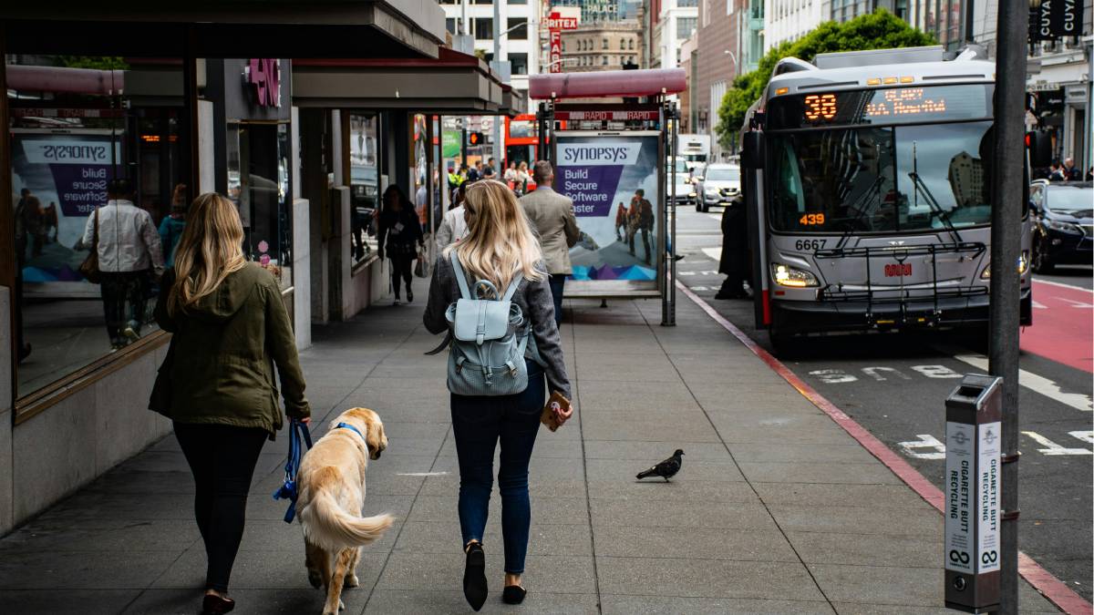 Uma proposta que vem gerando debate na Europa pode impactar diretamente quem viaja com pets