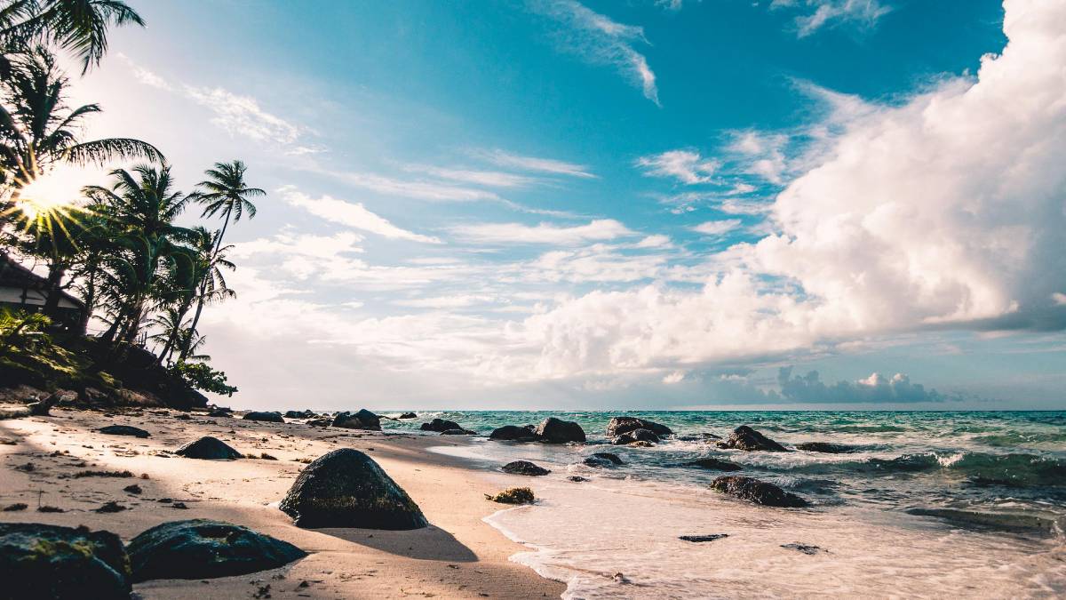 Praia acessível apenas por trilha mantém cenário natural preservado no Litoral Norte (Foto: Pexels)