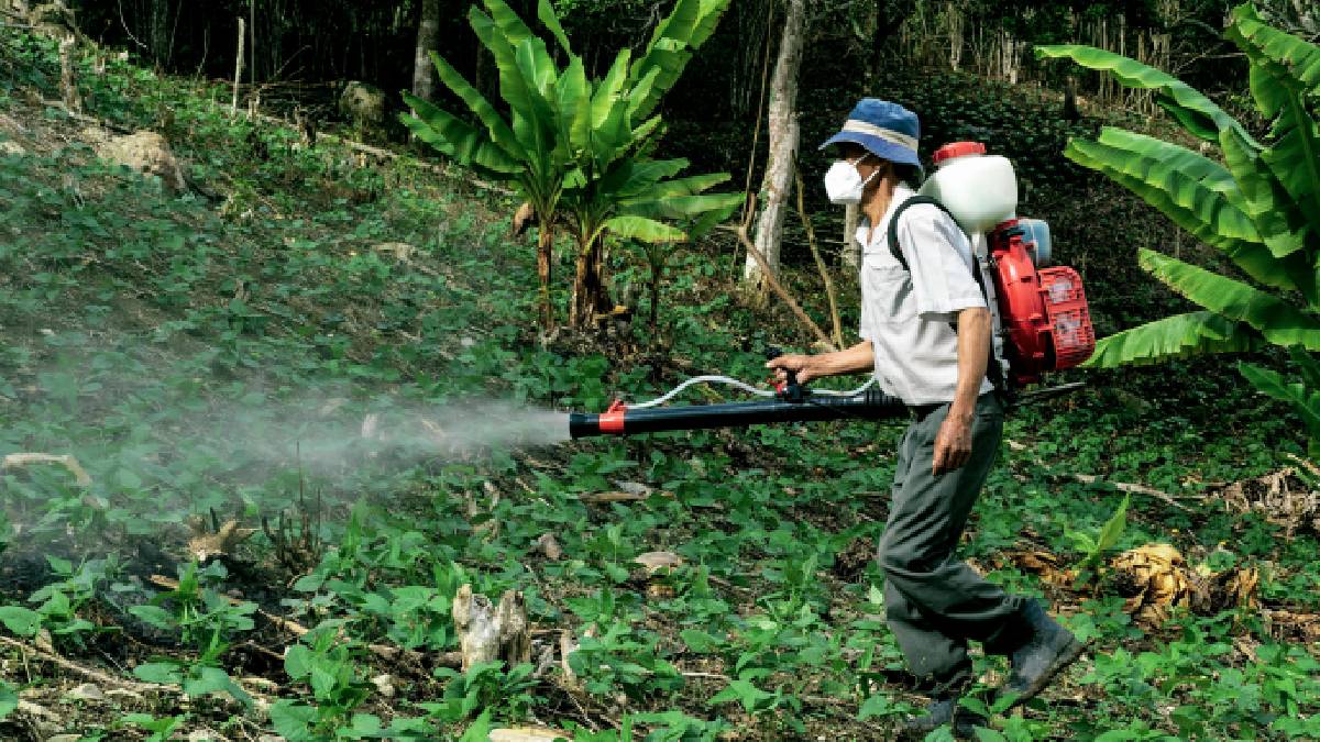 Ciência e agências divergem, e isso impacta regras, fiscalização e escolhas do consumidor. Fotos: Pexels
