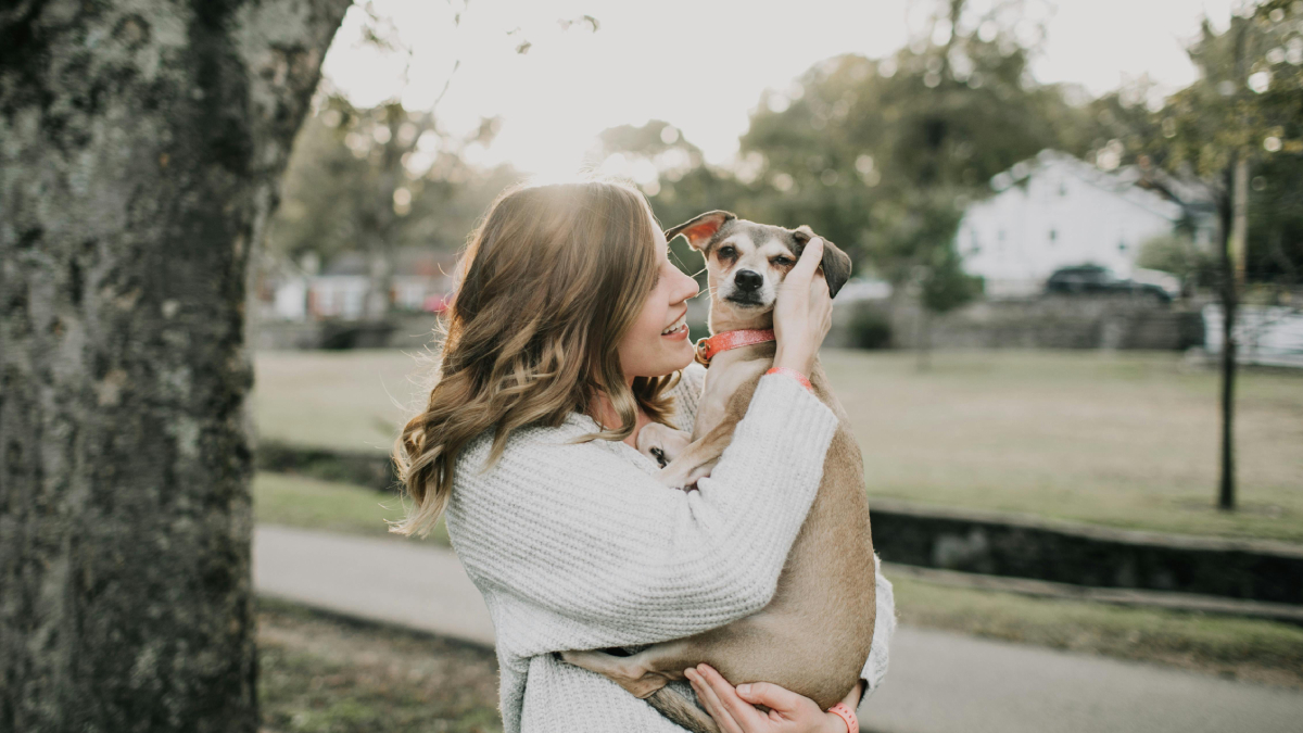 Apesar do aumento nos gastos com pets, essas despesas não geram desconto no IR (Foto: Pexels)