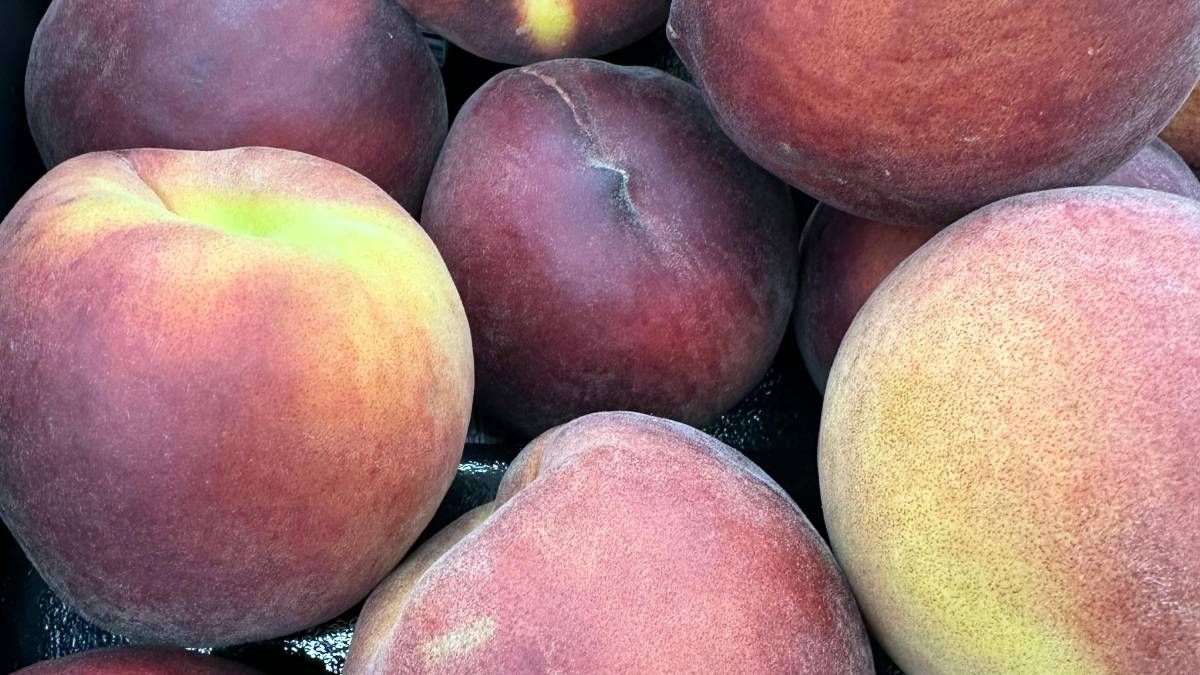 O pêssego mais maduro costuma ficar mais aromático e mais interessante para compotas e preparos assados (Foto: Pexels)