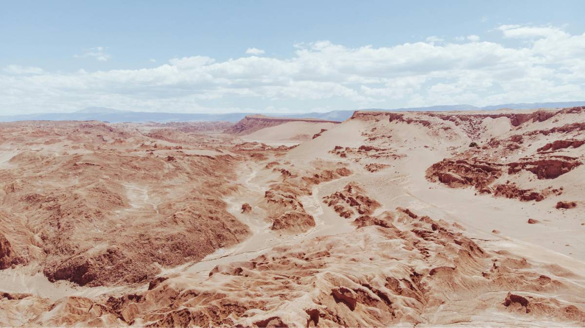 A presença de vicunhas reforça que até ambientes hiperáridos podem sustentar fauna especializada (Foto: Pexels)
