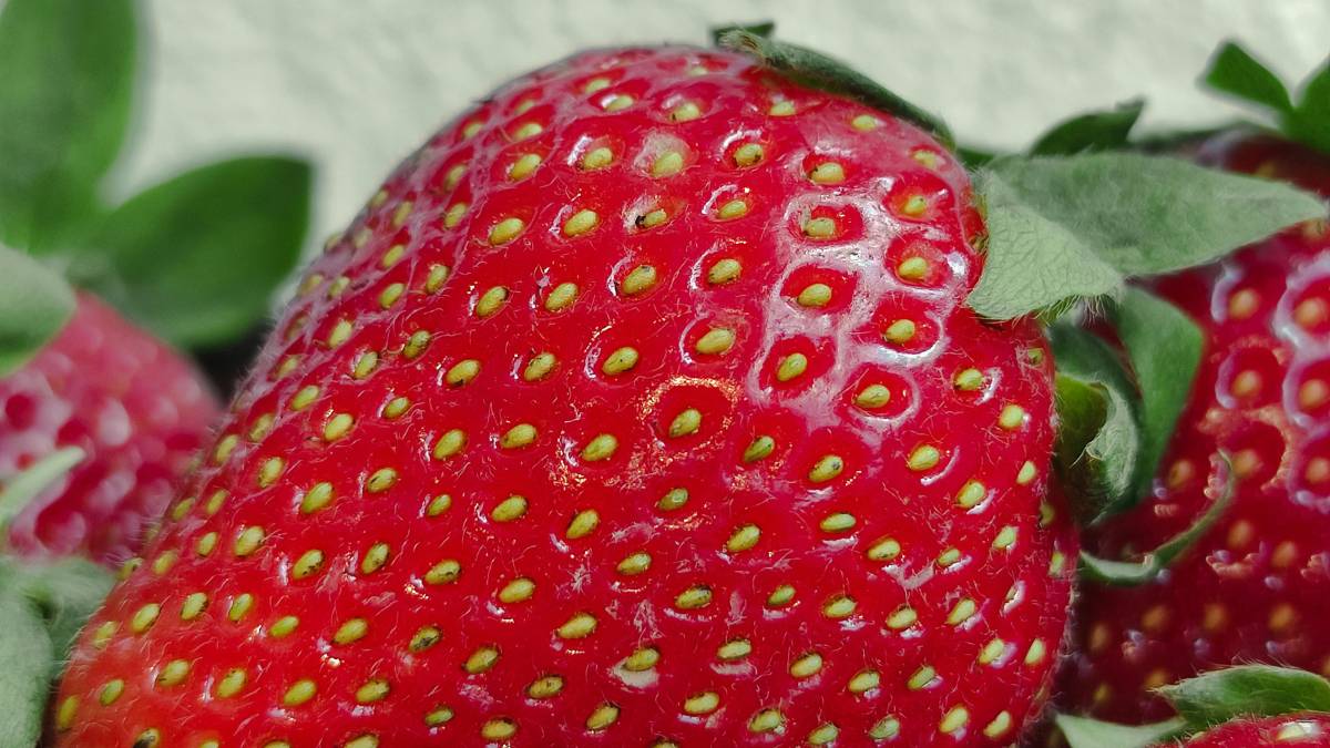Frutas vermelhas perdem firmeza rápido, mas ainda podem render bem em caldas, geleias e sobremesas (Foto: Pexels)