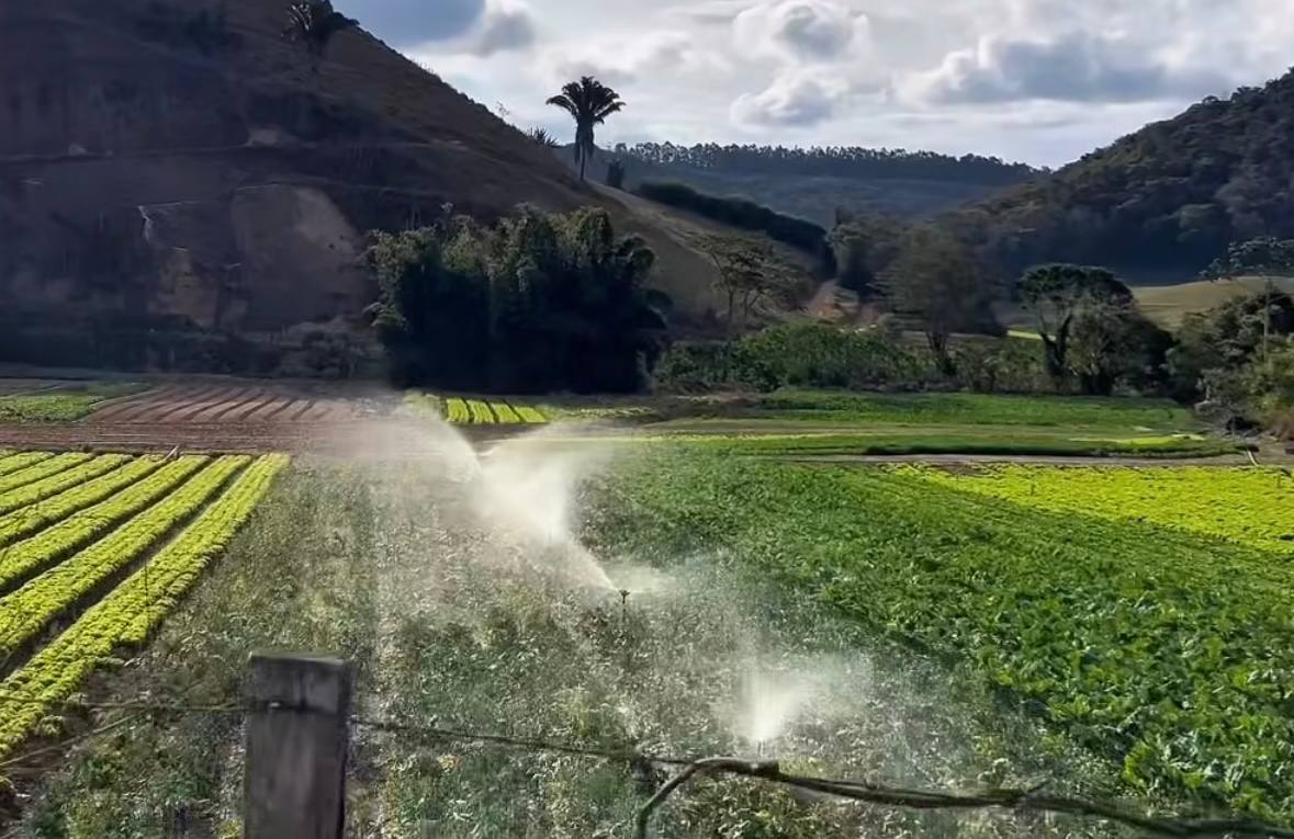 Fazenda, adquirida por Marcos Palmeira em 1997, ocupa cerca de 200 hectares /Reprodução/Instagram