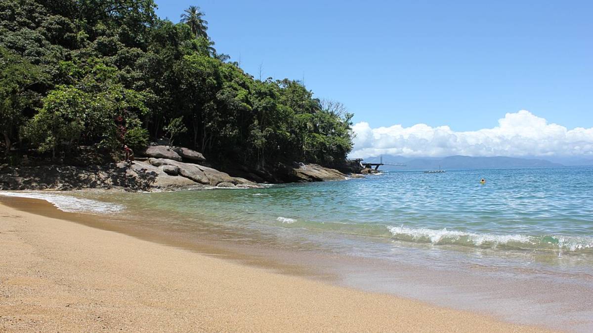 A combinação de mar e Mata Atlântica transforma o litoral paulista em destino muito procurado (Foto: Wikimedia Commons/Priscila Mayumi de Souza)