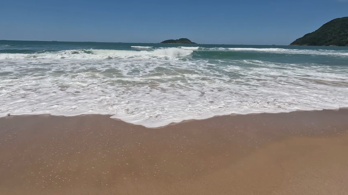 Atualmente, o Tombo é a única praia do estado de São Paulo a manter essa certificação por tantos anos seguidos - (Reprodução/YouTube)