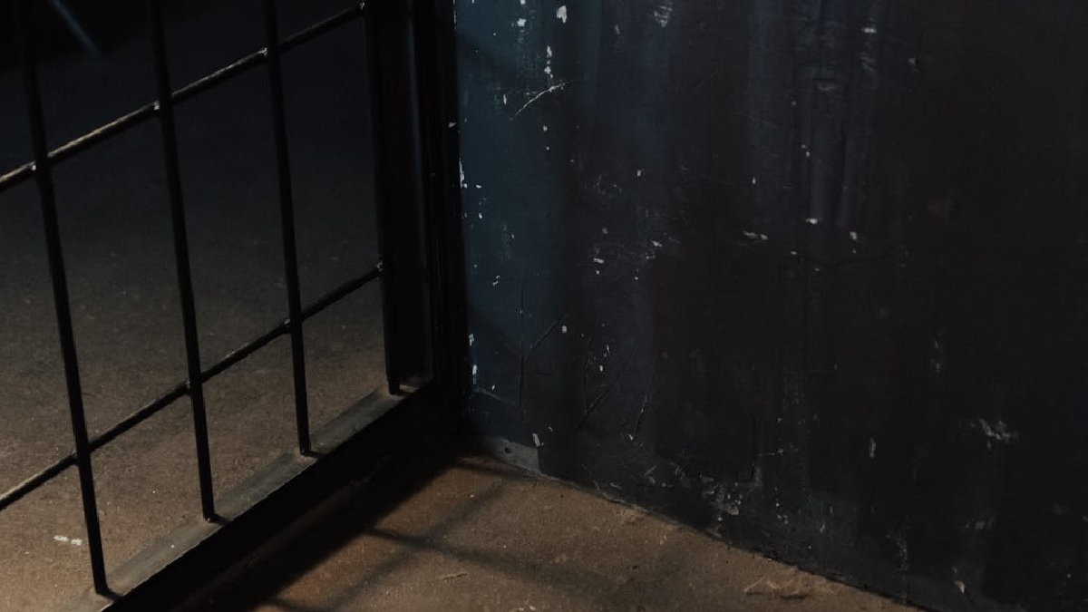 Existem propostas no Congresso Nacional de ampliação do tempo de internação de adolescentes para até 10 anos, no caso de crimes graves e hediondos, como estupros - (Ron Lach/Pexels)