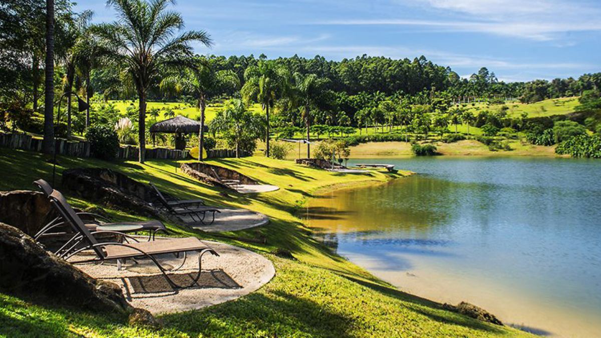 Localizado em uma antiga fazenda adaptada em Amparo, este gigante verde desperta a curiosidade de viajantes por ser um dos destinos mais exclusivos e visualmente impactantes da região. Foto: Divulgação