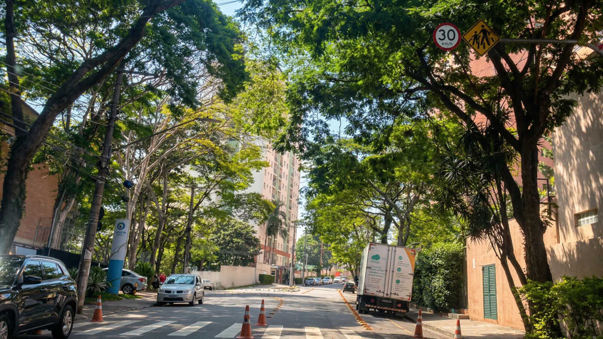 O plantio planejado depende de calçada, espécie adequada, acessibilidade e compatibilidade com a infraestrutura urbana. Foto: Joseph Silva/Gazeta de S. Paulo