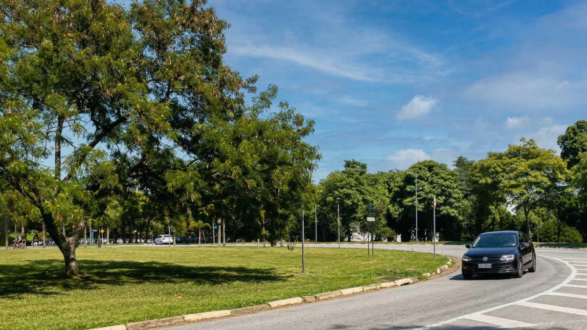 O contraste entre asfalto exposto e área vegetada ajuda a explicar mudanças no calor sentido em trajetos curtos. Foto: Joseph Silva/Gazeta de S. Paulo