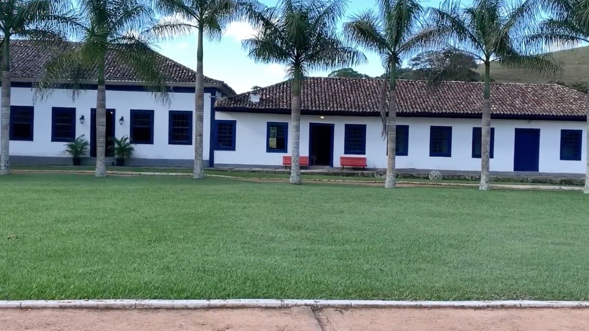 A fútil ostentação dos vaidosos líderes fazendeiros esbarrava covardemente na brutal e violenta dor trancafiada pelas terríveis senzalas abafadas paulistas. Todo falso ouro pintado em grão garantiu imensos bancos na nossa capital. Fotos: Reprodução/Youtube