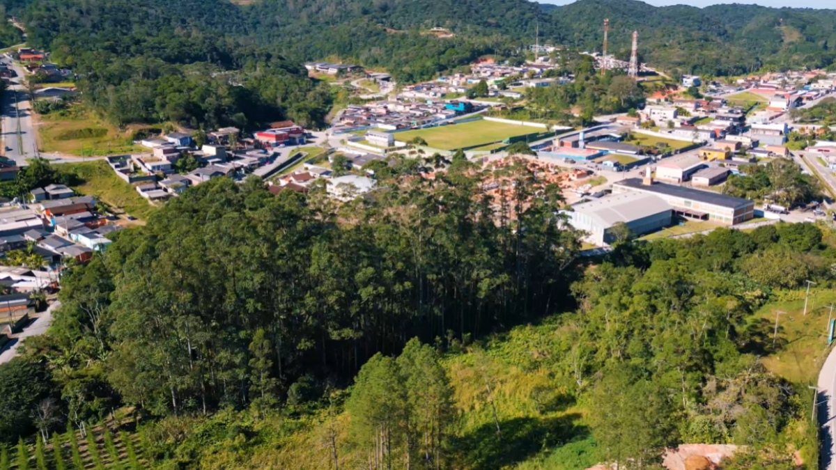Tapiraí não é apenas um destino de lazer; o município detém o título de Reserva da Biosfera, concedido pela Unesco em 1992 - (Reprodução/YouTube)