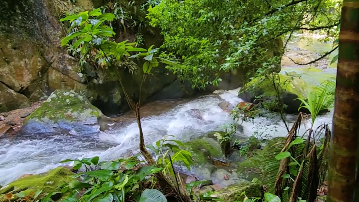 Conhecido por suas águas geladas e incrivelmente cristalinas, o vale oferece uma experiência de imersão total na Mata Atlântica que combina aventura.