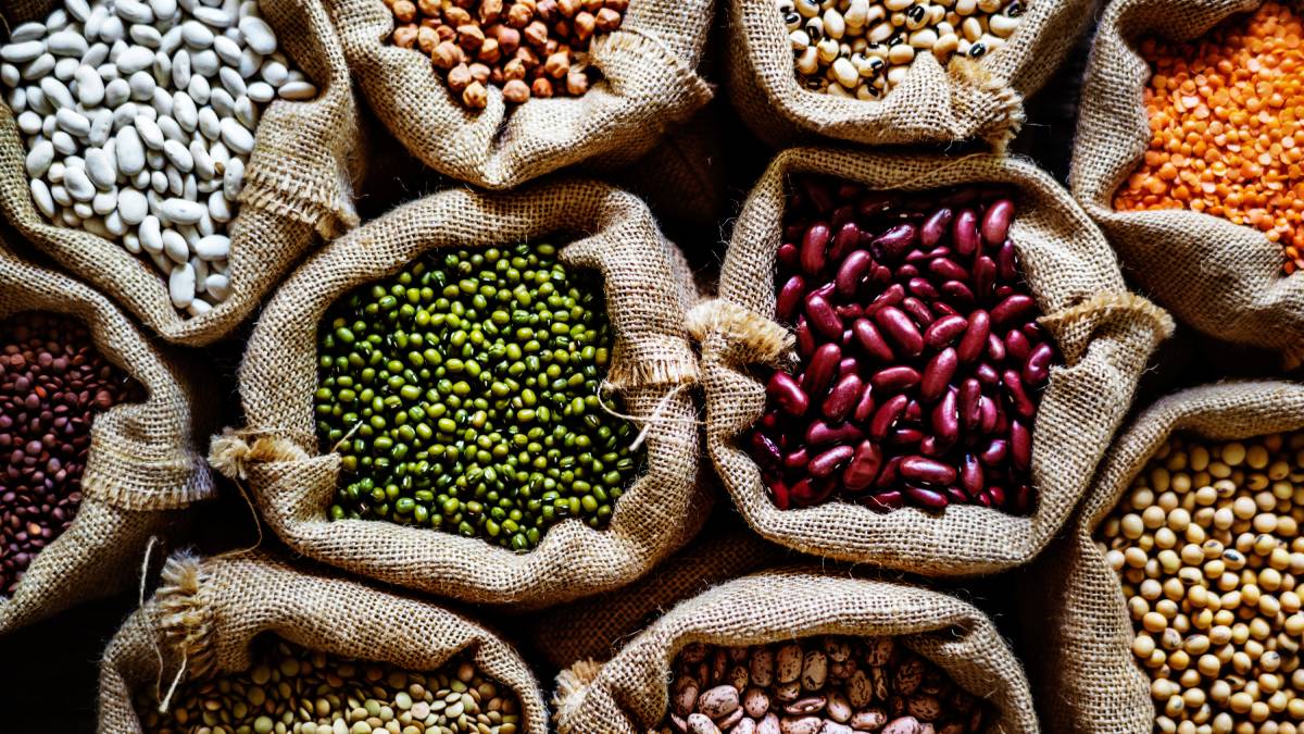 Estoque inclui arroz, feijão, macarrão, trigo, sal e sementes para garantir autonomia por longos períodos (Foto: Freepik)