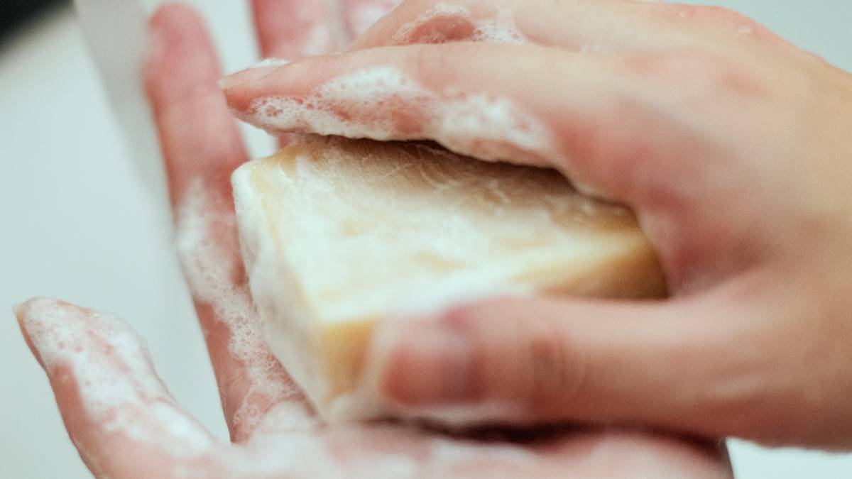 Enquanto algumas pessoas adoram o sabor fresco e cítrico da erva, outras afirmam que ele lembra algo bem diferente: sabão (Fotos: Freepik)