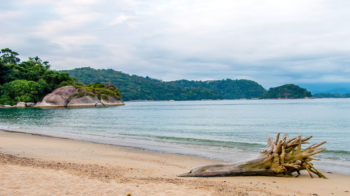 Cenário incomum mistura tecnologia e natureza em um só lugar - Prefeitura Municipal de Angra dos Reis